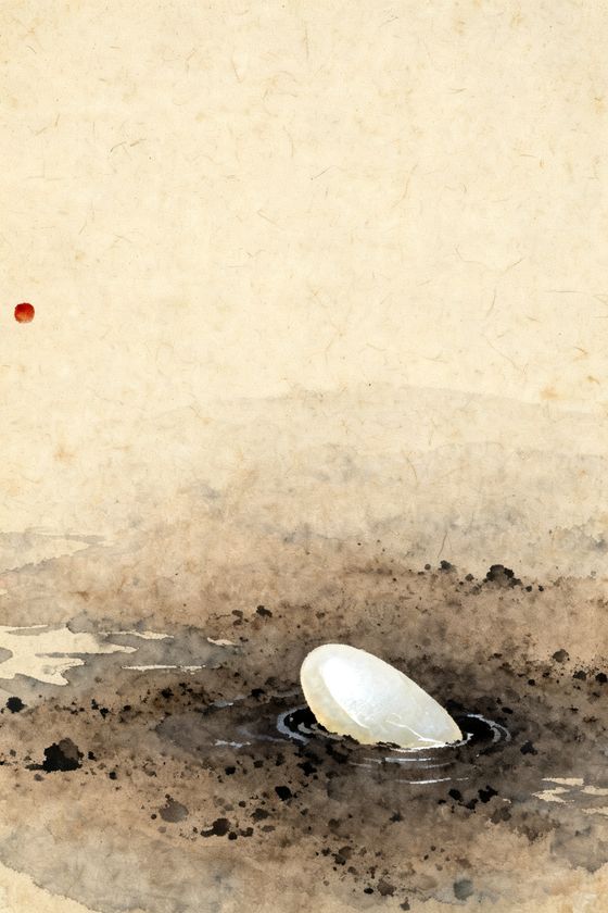 妙玉——一块美玉，落在泥垢之中